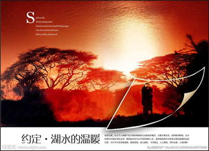 地產廣告設計 視覺驅動價值的藝術與實踐